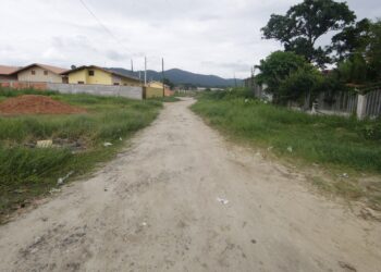Corpos são encontrados com sinais de violência em região de mangue em SP