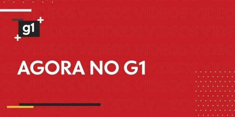 Prefeitura de Santos abre inscrições para novas licenças de ambulantes; veja como solicitar