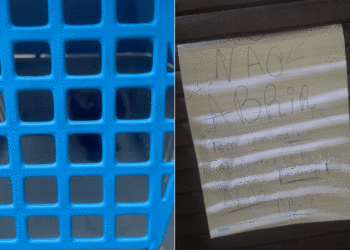 'Tem um macaco aí dentro': homem abriga animal no banheiro de casa e coloca aviso na porta no litoral de SP