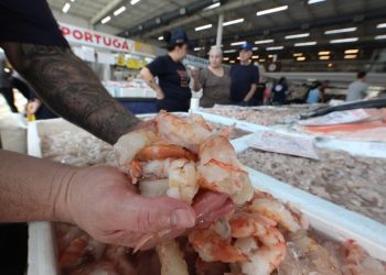 Festival do Camarão em Santos oferece preços a partir de R$ 29,99 e degustação gratuita