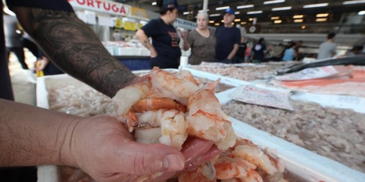 Festival do Camarão em Santos oferece preços a partir de R$ 29,99 e degustação gratuita